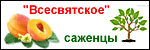 Саженцы плодовых деревьев и кустов